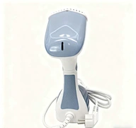 Steam Iron